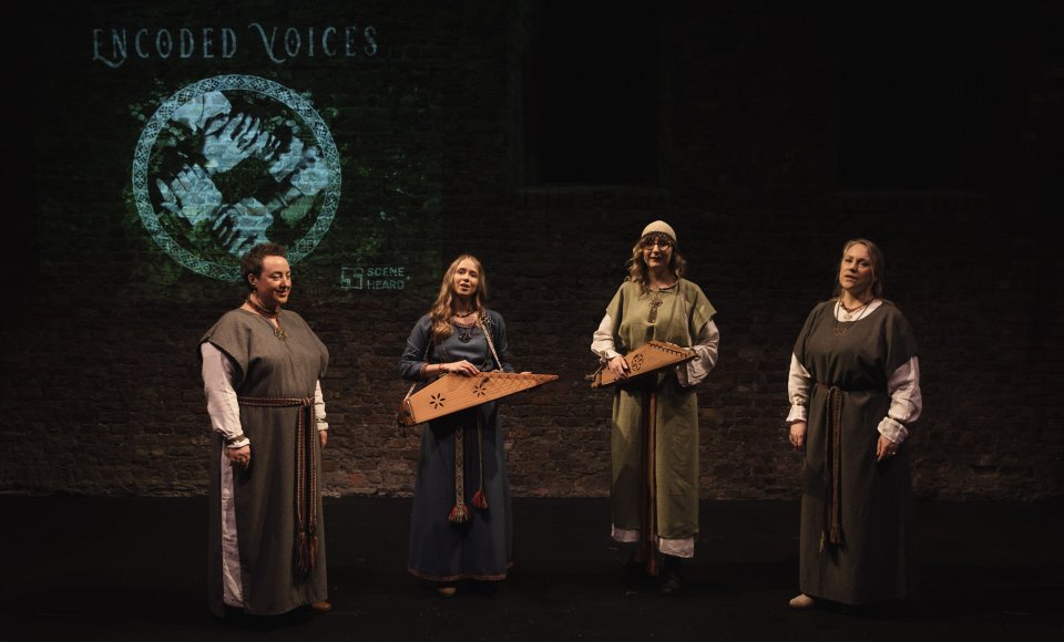 Welcome to the Traditional Dublin Culture Night Event!